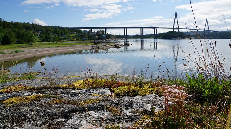 Unda Camping i Uddevalla ligger i ett naturskönt läge intill havet med klippor, sandstränder och nära anslutning till Uddevallabron och E6:an.