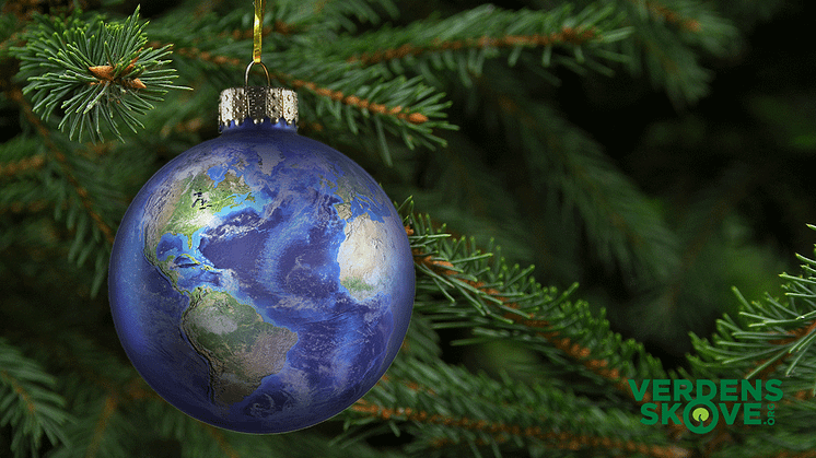 Glædelig jul og godt nyår fra Verdens Skove. Vi ser frem til, at forstsætte kampen i det nye år.