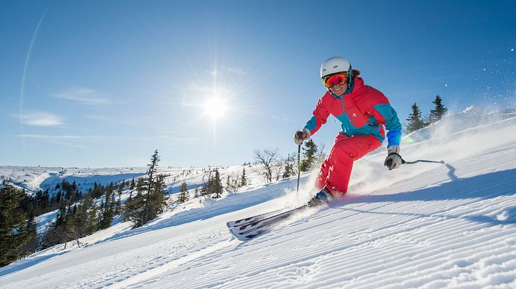 SkiStar AB: MySkiStar fri WiFi by Telenor i Åre och Sälen