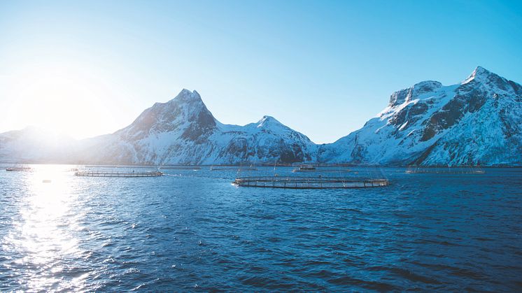 Vor über 40 Jahren entstand die erste Aquakulturanlage in Norwegen. Die lange Erfahrung und die Zusammenarbeit von Fischerei, Wissenschaft und Staat machen Norwegen heute zum internationalen Vorreiter in der nachhaltigen Lachszucht.