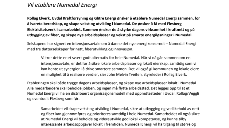 19.1.21 PM Rollag, Uvdal og Glitre Energi .pdf