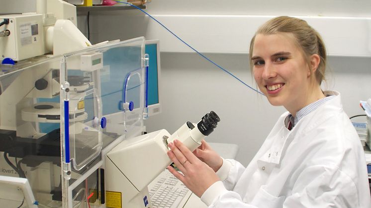 Anders Wall-stipendium till stamcellsforskare som skapar blodkärl i labbet
