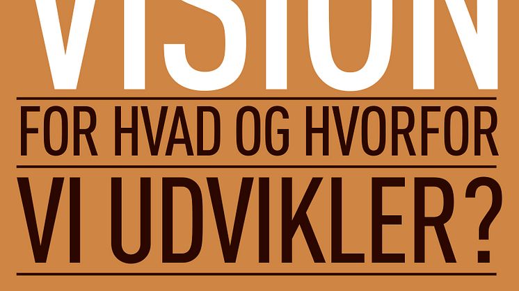 Har vi en klar vision for hvad og hvorfor vi udvikler?