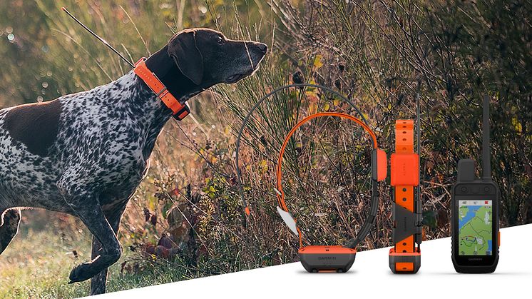 Mit der Alpha Hundeortungssystem-Serie von Garmin die Hunde bei der Jagd immer im Blick behalten.