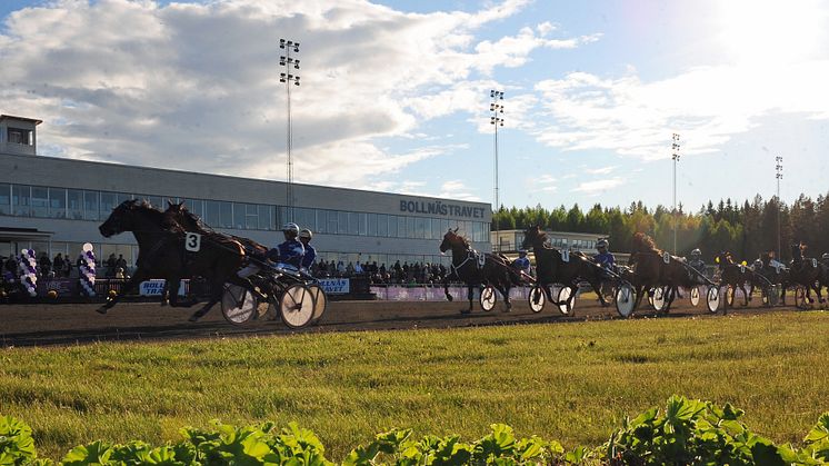 V86 i sommarsverige gästspelar i Bollnäs