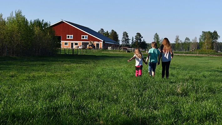 MinGård - en mobilanpassad, användarvänlig, flexibel och öppen plattform för mjölk- och köttföretagare