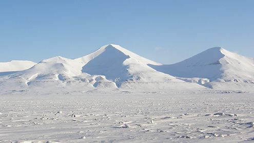 Låt inte kylan förstöra ditt projekt