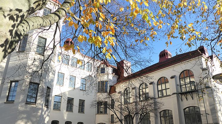 Nordic International School etablerar skola i Kalmar