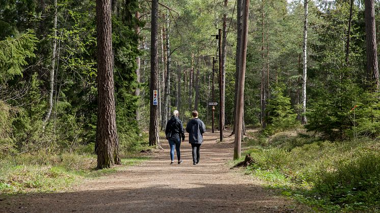 Belysningen i Kårsta elljusspår kommer att vara miljöanpassad närvarostyrd belysning som tonas ned till en styrka av 20 procent av sin maxkapacitet när ingen rör sig i spåret. Tekniken har under de senaste åren testats på Vallentuna IP.