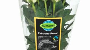 Lidl Sverige går mot 100 procent Fairtrade-märkta rosor