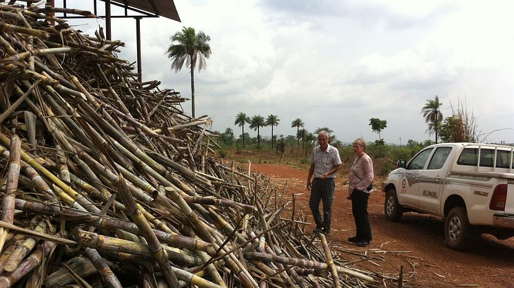 Addax Bioenergy blir FN:s första Clean Development Mechanism-projekt i Sierra Leone