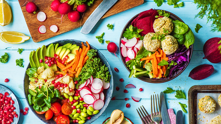 HelloFresh – årets bästa matkasse