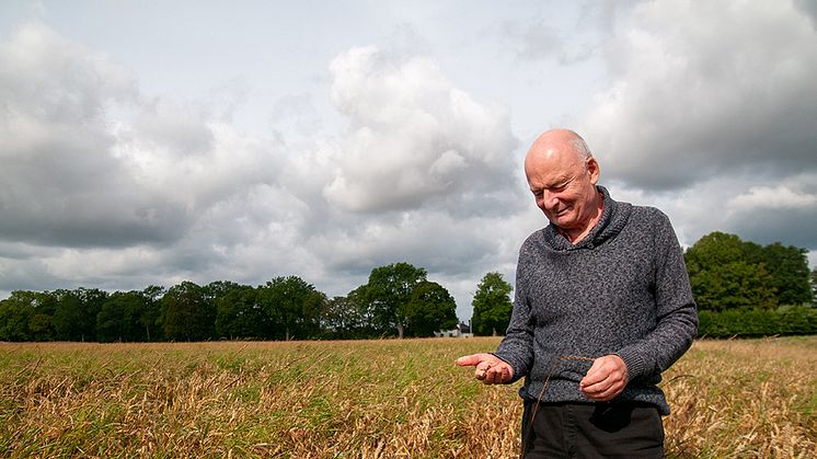 - Jag tror att vi kan bli självförsörjande på proteingrödor i Sverige, menar Olof Jansson på Kårtorps Säteri som odlat sötlupin sedan 2019.