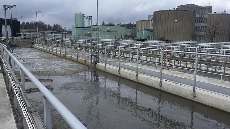 Små mängder tungmetaller i avloppet kan ge stort utslag i slammet på reningsverket.