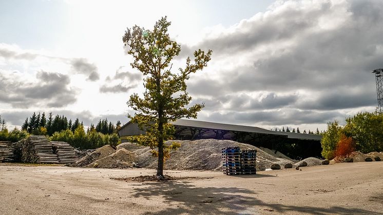 Naturkulturreservatet i Marhult lämnar ingen obemärkt. Foto: Timo Menke