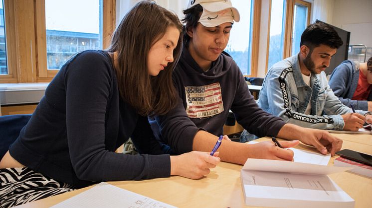 Gymnasieelever räknar matte. Foto: Anna-Lena Lindskog