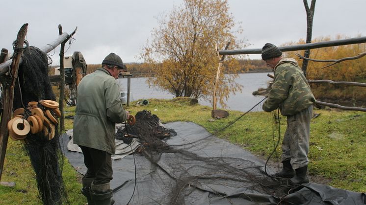 Russian field personell preparing nets for sample collection (Photo Guttorm Christensen/Akvaplan-niva)