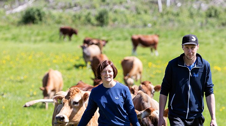 Elise och Jacob Larsson satsar hårt som lantbrukare och bygger nytt för 12 miljoner kronor i Vebomark.