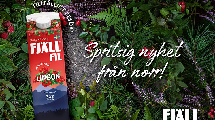 Fjällfil® Lingon - en smak från skog och mark