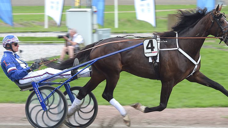 Racing Mange och Joakim Lövgren har kvalat in till Elitloppet på Solvalla. Foto: TR Bild