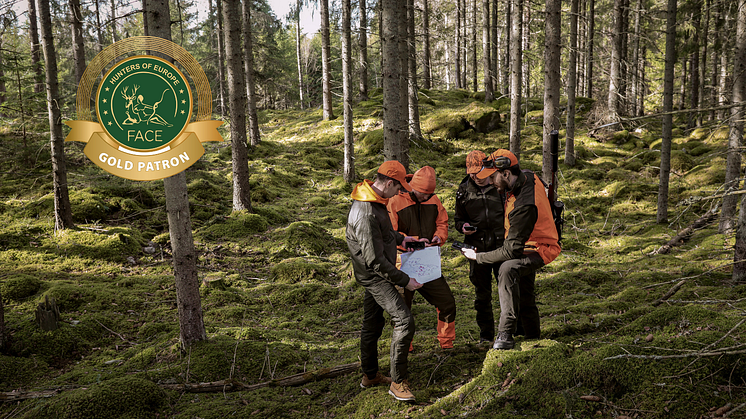 Natlink and FACE Forge Alliance: pioneering the expansion of a connected hunting experience 