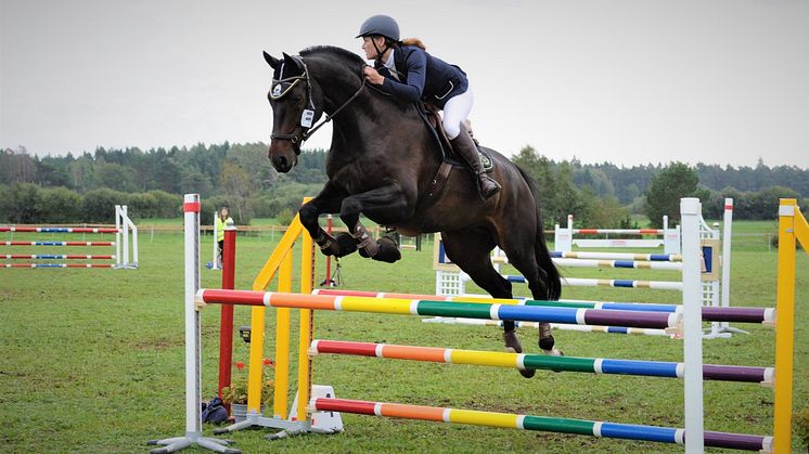 Distriktsveterinärerna inviger hästmottagning på Gotland