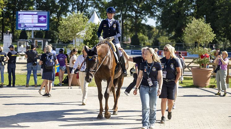 Lena Malmström har en strålande internationell karriär på egna uppfödningen Fabulous Fideli. Tillsammans med Sveriges landslag i paradressyr satsar hon nu mot Paralympics. Foto: Roland Thunholm