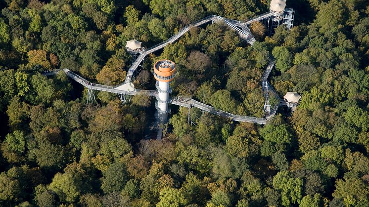 Hainich National Park: canopywalk © Nationalpark Hainich/Thomas Stephan