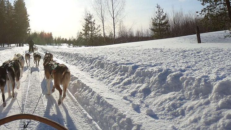 Flygplatstransfer i en fjällby