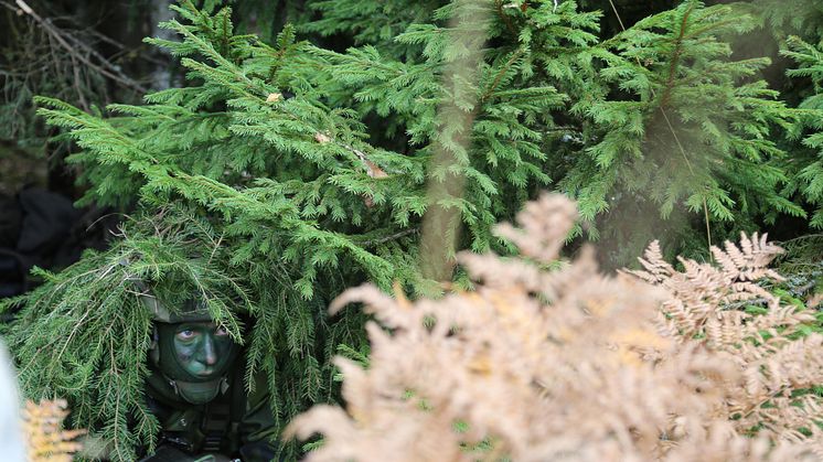 Foto: Mona Olsson/Försvarsmakten