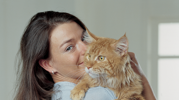 Enkelt sätt att avmaska katten