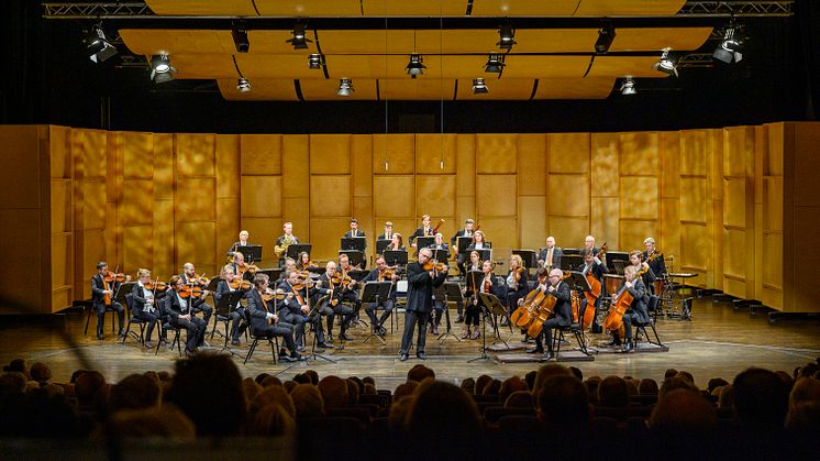 Nordiska Kammarorkestern har sedan starten varit en halvtidsorkester men nu ökar tjänstgöringsgraden. Detta är viktigt för orkesterns utveckling ur såväl konstnärligt som bemanningsperspektiv. Foto: Lia Jacobi