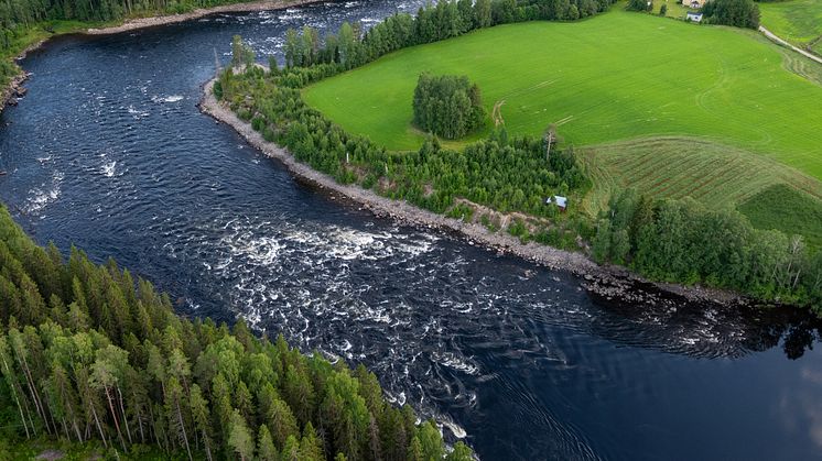 Vatten är vår viktigaste naturresurs. Nu startar en landsomfattande kampanj för hållbar vattenanvändning. Foto: Johan Hammar