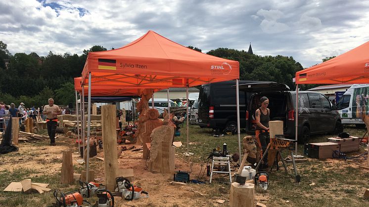 Mitteldeutsche Meisterschaft im Speedcarving während des Naumburger Holzfestes