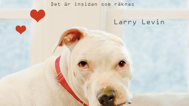 Vår hund Oogy - Kärleksfull ny bok om en uträknad hund och hans nya familj