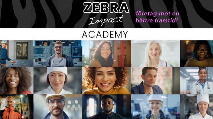 Zebra Impact Academy -  acceleratorn för företagare som vill ta in investering för att skapa samhällsnytta! 