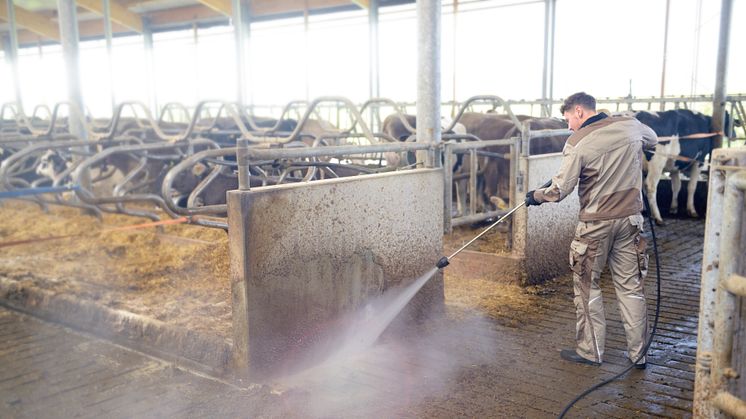 Erstklassige Schwemmwirkung bei hohem Arbeitsdruck