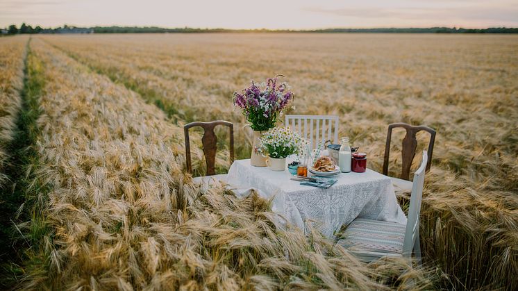 Estlands första Michelin-stjärnor har nu presenterats. Foto: Visit Estonia.