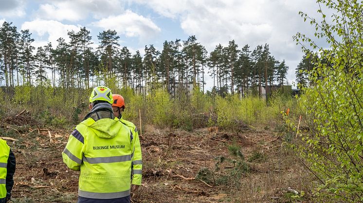 Från platsen för utgrävningarna den 28 april 2020. För högupplösta pressbilder se länk nedan.