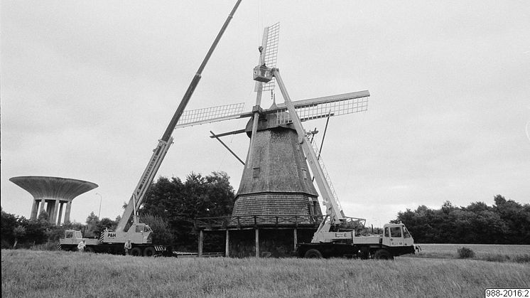 ​​Foto från Carolotta /Helsingborgs museer