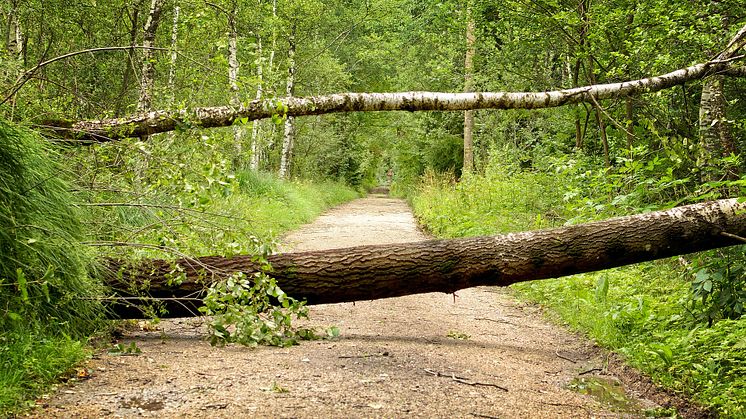 Unwetter_Bayern_Aufarbeitung_20082017_Symbolbild_Newsroom