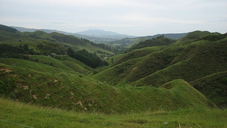 Floyd Wilde from Cambridge, New Zealand, CC BY-SA 2.0 <https://creativecommons.org/licenses/by-sa/2.0>, via Wikimedia Commons