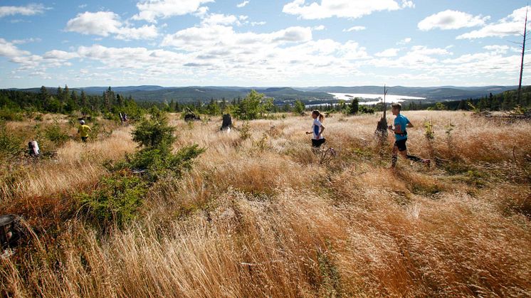 Löpare från hela landet glädjs åt nyheten att populära Järvloppet åter planeras i Järvsö.