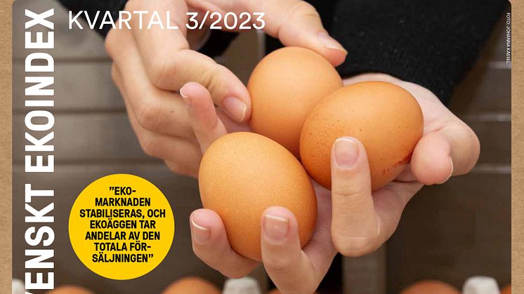 Svenskt ekoindex kvartal 3 2023