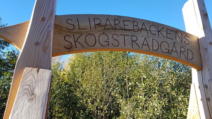 Pressinbjudan: Sliparebackens skogsträdgård - invigning och aktivitetsdag