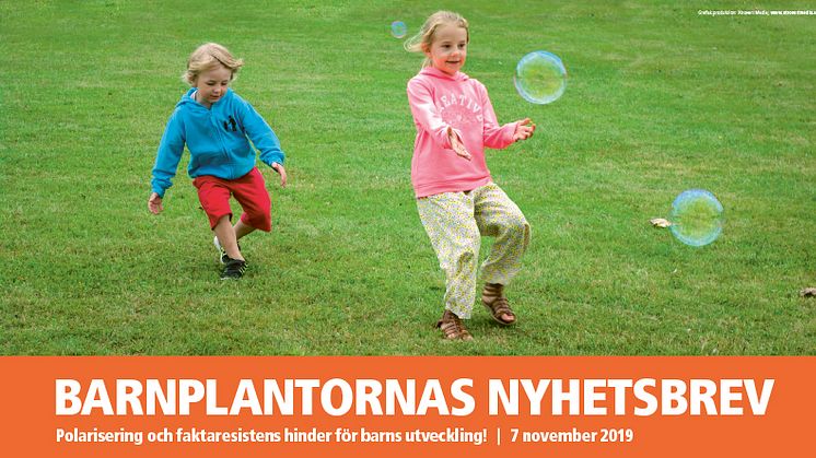 BARNPLANTORNAS NYHETSBREV den 7 november 2019