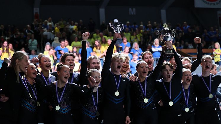 EG Vikings vann guldet i mixedklassen. Foto: Icelandic Gymnastics