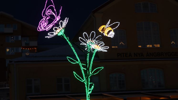 Årets Lysande nyhet Veronica hyllar våra livsviktiga pollinatörer och lyser upp i parken framför Ångbryggeriet vid Sundsgatan i PIteå. Foto: Ulrika Bohman