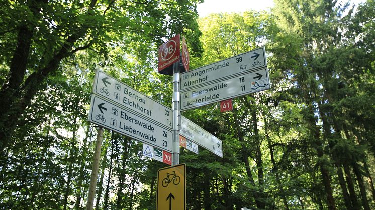 Knotenpunktradeln sorgt für noch mehr Abwechslung beim Radfahren in Brandenburg. Foto: TMB-Fotoarchiv/Steffen Lehmann.  