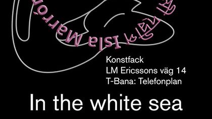 Brown Island at Konstfack – a resistance towards the white heteronormative environment